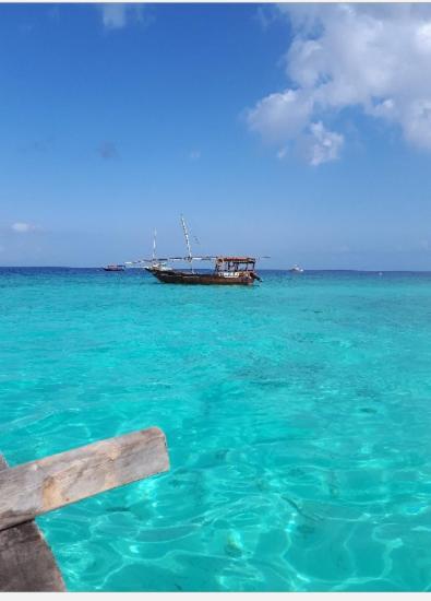 Ebony & Ivory Beach Bungalows Nungwi Dış mekan fotoğraf