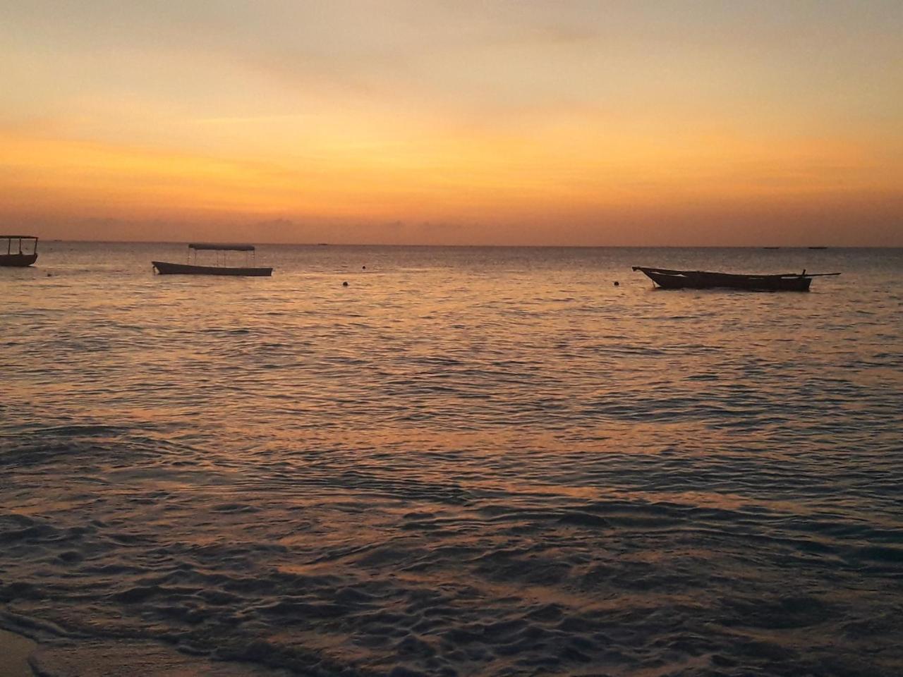 Ebony & Ivory Beach Bungalows Nungwi Dış mekan fotoğraf